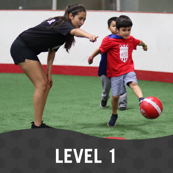 Skills-Institute-Level-1 Skills Institute Level 1
