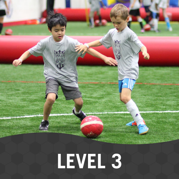 Skills-Institute-Level-3 Skills Institute Level 3