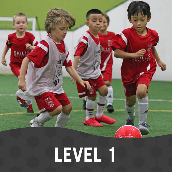 Skills-Institute-Level1 Skills Institute Level 1