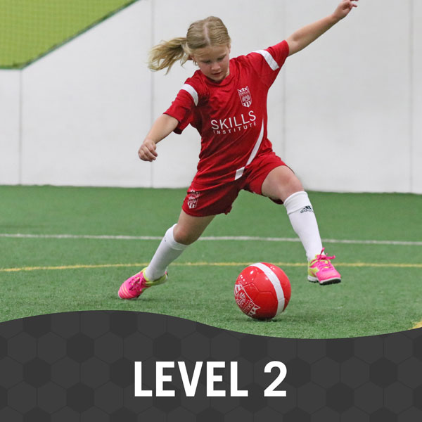 Skills-Institute-Level2 Skills Institute Level 2