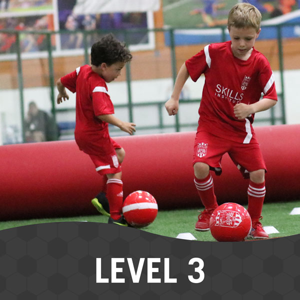 Skills-Institute-Level3 Skills Institute Level 3